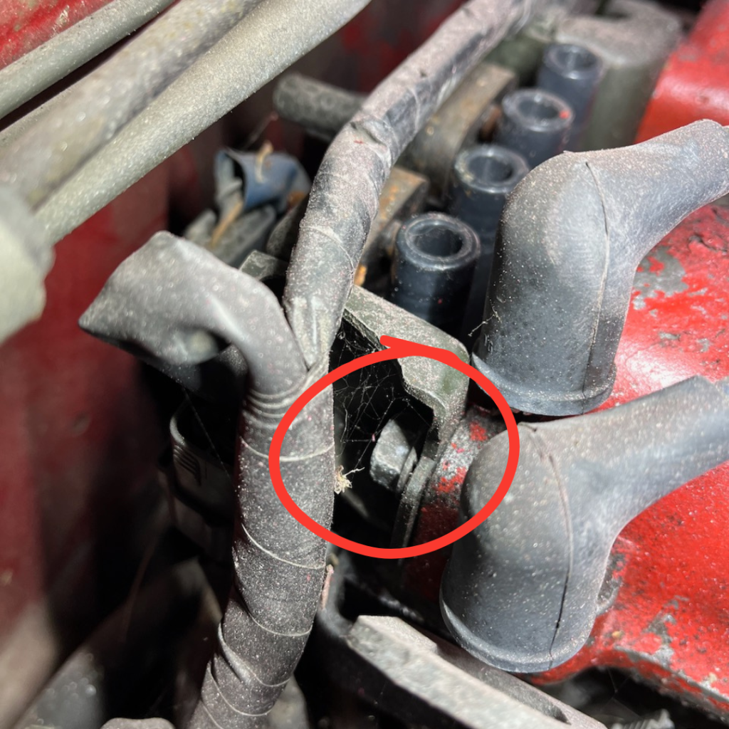 Left ignition coil bolt